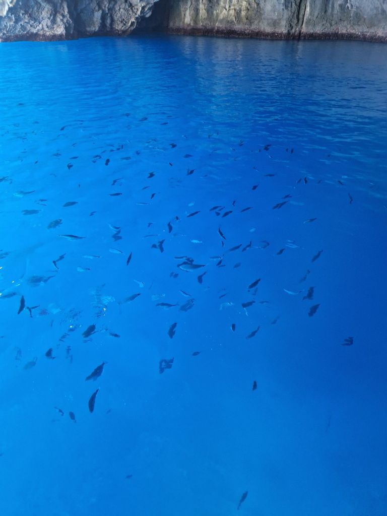 wp-17541404661824047525008358001482